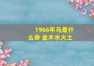 1966年马是什么命 金木水火土